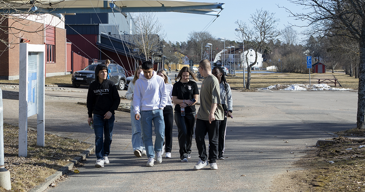 Flera personer som går på skolgården.